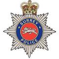 Surrey Police badge